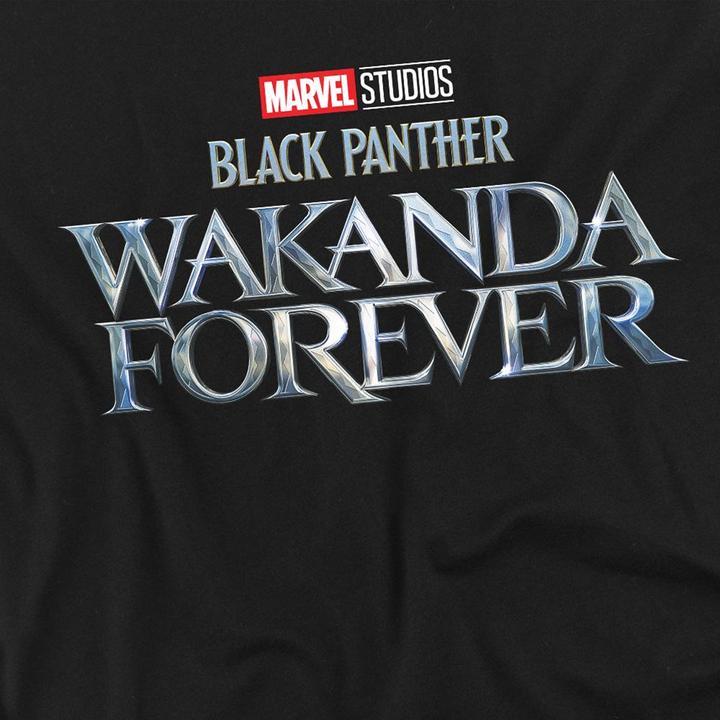 Actual product image Black Panther: Wakanda Forever Unisex Adult Logo T-Shirt (XXL)