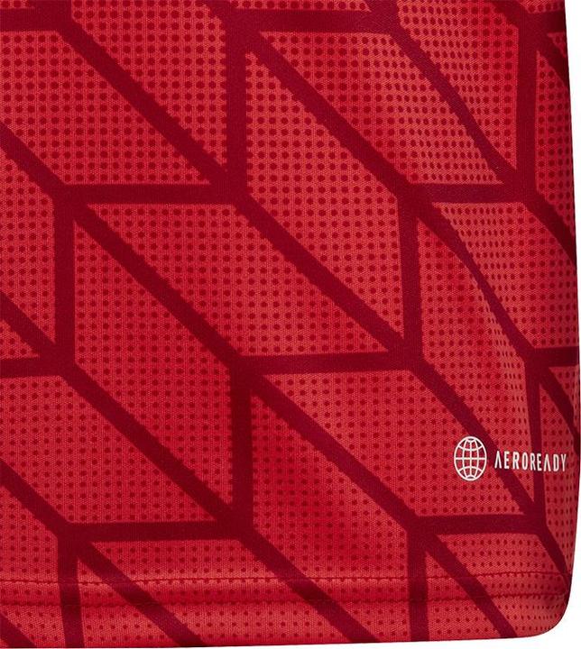 Produktbild adidas Team Icon 23 Trikot (128)