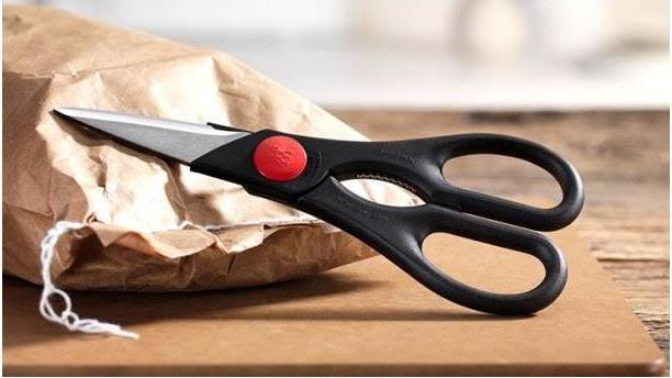 Actual product image Zwilling Multipurpose scissors Twin (20 cm)