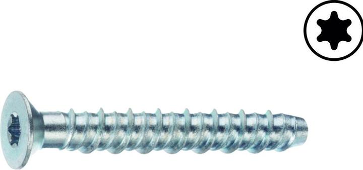 Actual product image Profix Concrete screw PBS-F (50 Screws per piece)