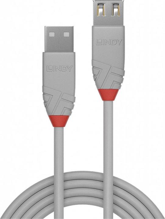 Actual product image Lindy USB A –  USB A (1 m, USB 2.0)
