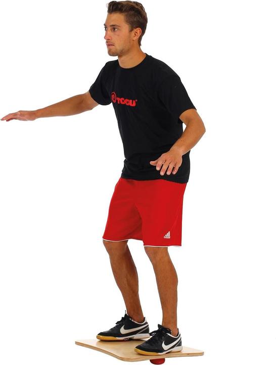 Produktbild Togu Balanza® Physiowippe