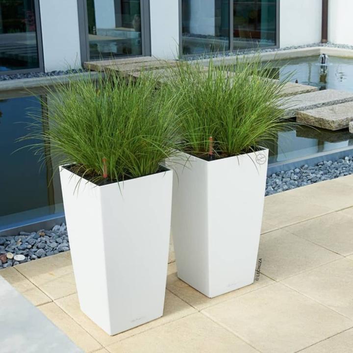 Immagine prodotto Lechuza Colore Cubico (22 cm)