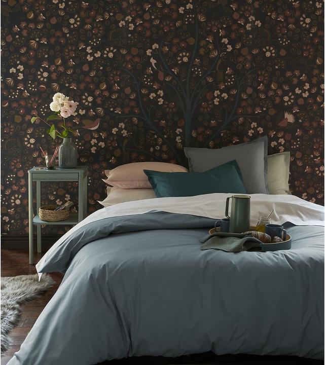 Image du produit La Redoute Interieurs Percale Unie Best (Taie d'oreiller, 70 x 70 cm)