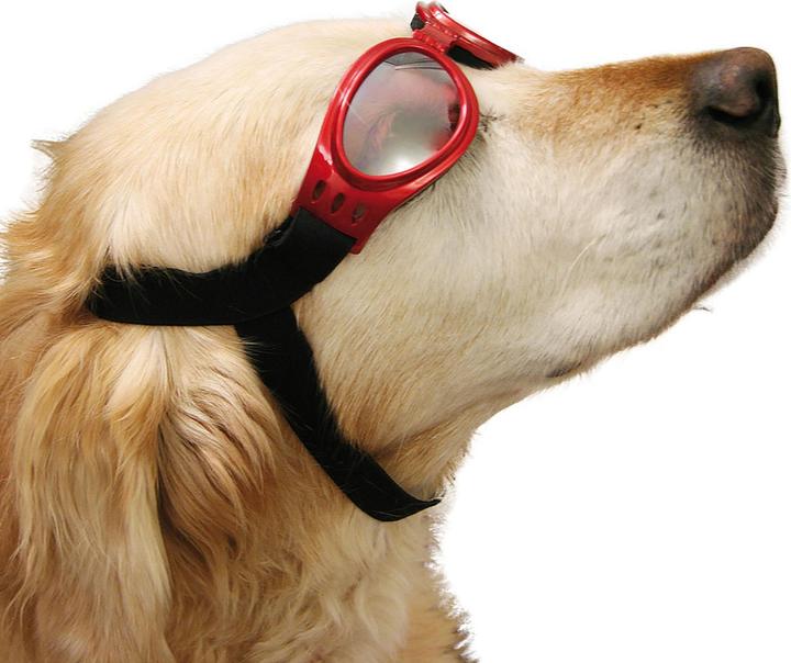 Actual product image Swisspet Convertible and snow goggles (Dog bathrobe)