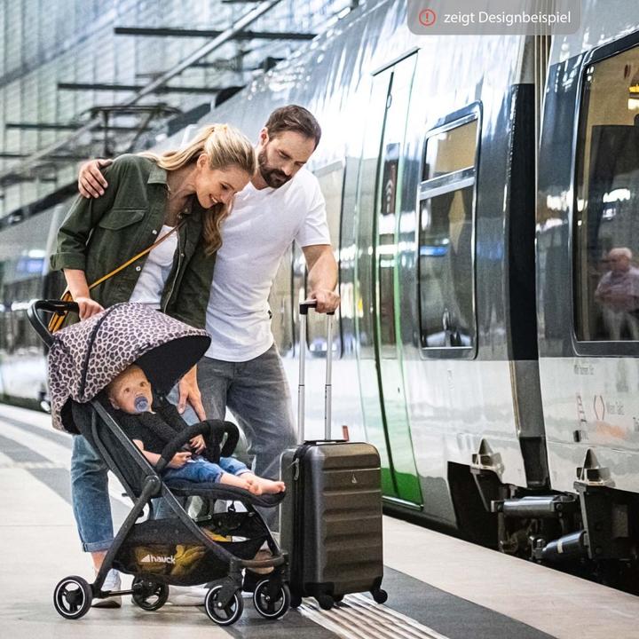 Produktbild Hauck Swift X Single Deluxe Canopy