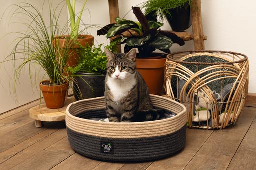 Actual product image Beeztees Xana (Cat)