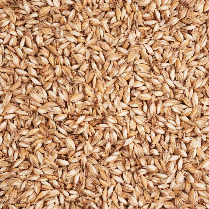 Actual product image VBS Spelt chaff, filling material, 250g (Beige)