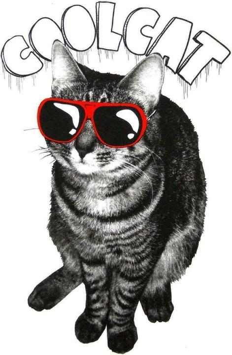 Actual product image Goodie Two Sleeves Womens/Ladies Cool Cat Tank Top (L)