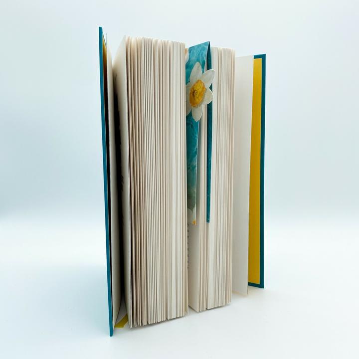 Image du produit It starts with us – Nur noch einmal und für immer (Allemand, Colleen Hoover., Katarina Ganslandt, Anja Galić, 2022)