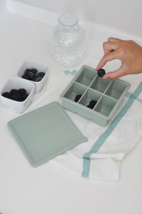 Actual product image Minikoioi Container for puree capsules with lid