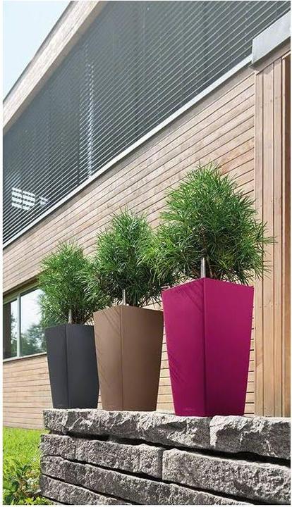 Actual product image Lechuza Cubico Color (22 cm)