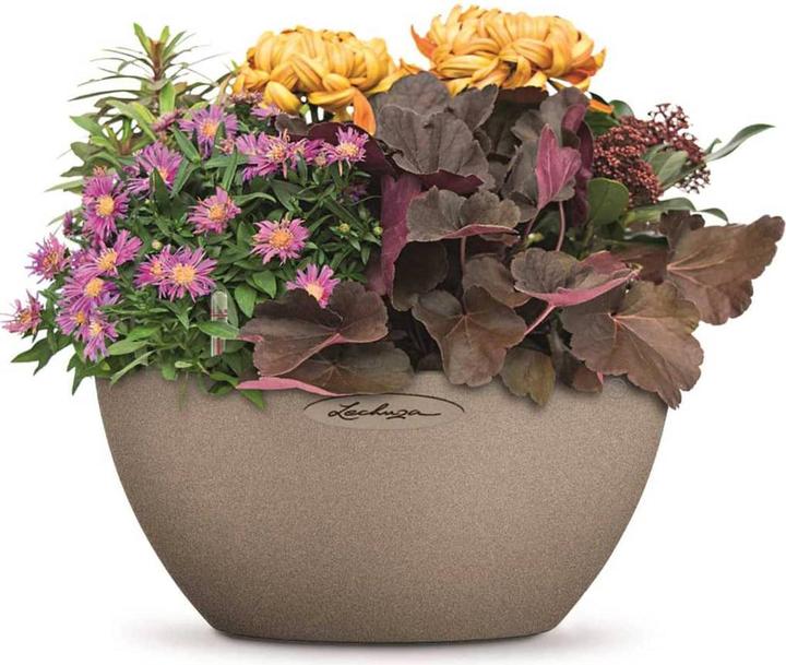Produktbild Lechuza Cubeto Color (30 cm)