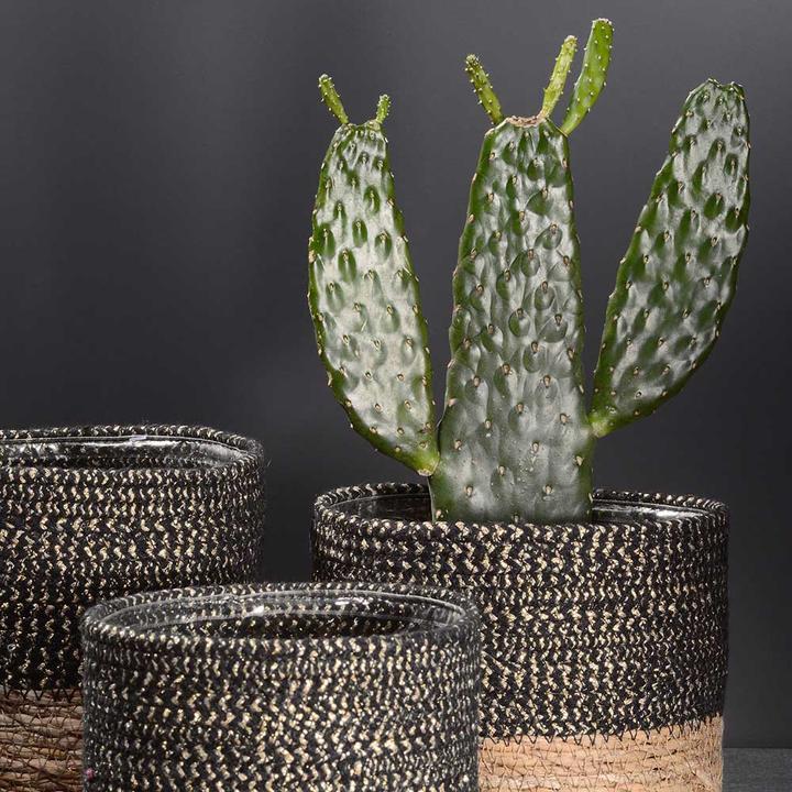Produktbild Classico Korb Boho 3er Set