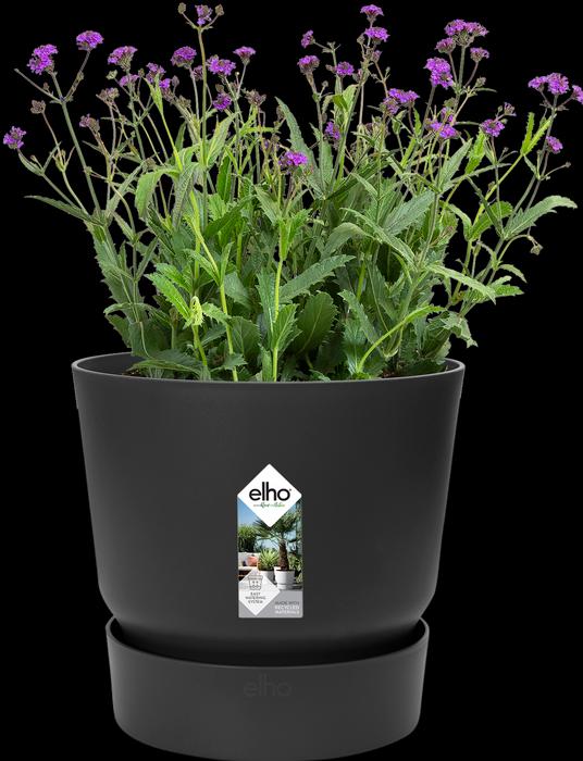 Actual product image Elho Greenville (24.48 cm)