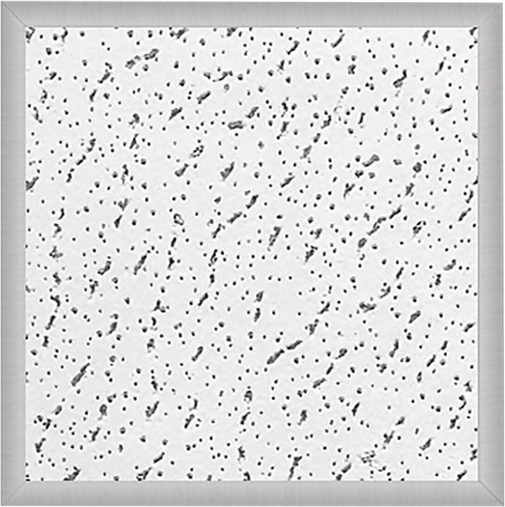 Celexon T-Profilrahmen fuer Expert Deckenlifte (Decke)