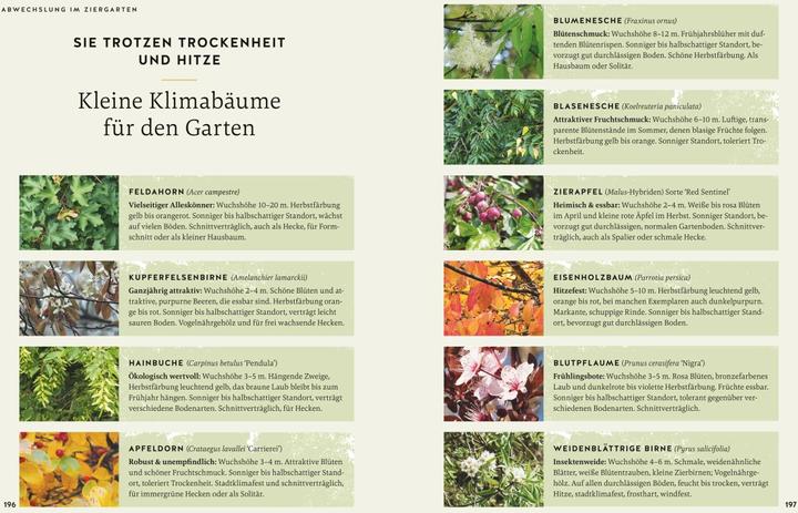 Actual product image So wird der Garten fit fürs Klima (German, Joachim Mayer, 2024)
