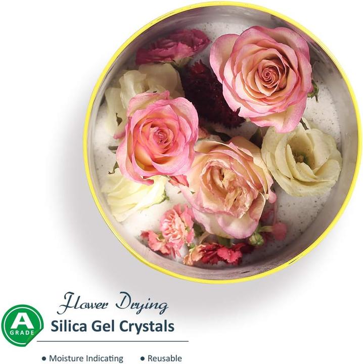 Produktbild Wisedry Silicagel Kristalle für Blumentrocknung