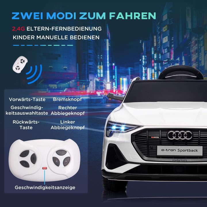 Produktbild Jamb Audi e-tron (12 V)