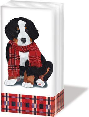 Image du produit Sniff Mouchoirs en papier