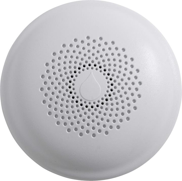 Image du produit Airam Détecteur d'eau Smart