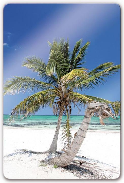 Image du produit Trenddeko palmier (40 x 60 cm)