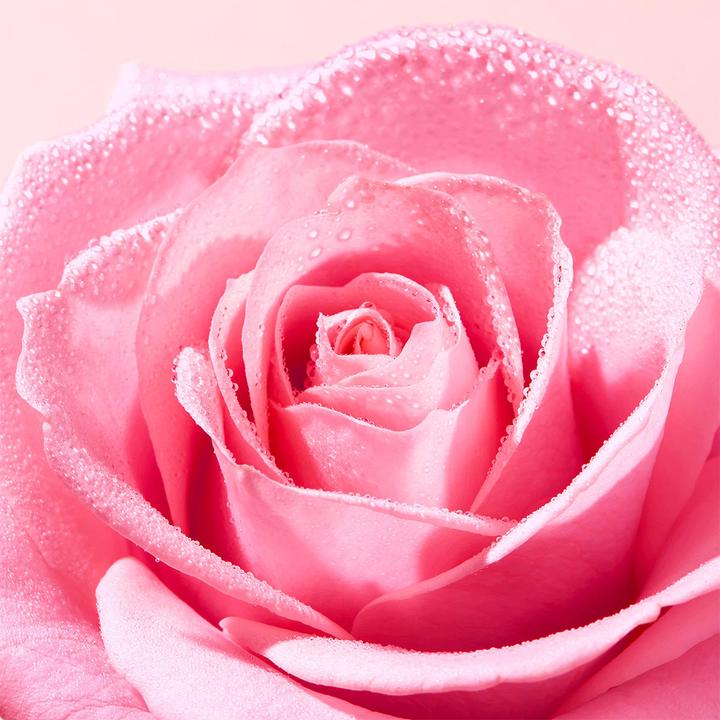 Actual product image Nuxe Very Rose Light Cleansing Foam (Foam, 150 ml)