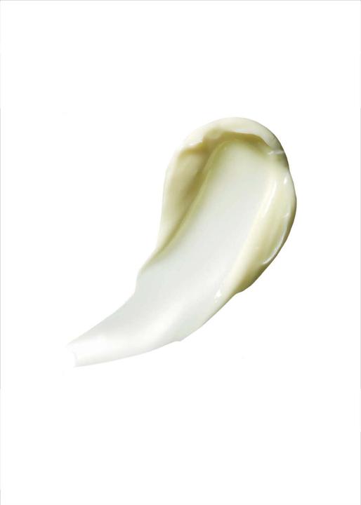 Immagine prodotto Rodial Sangue di Drago Crema Ialuronica Notte (50 ml, Crema notte)