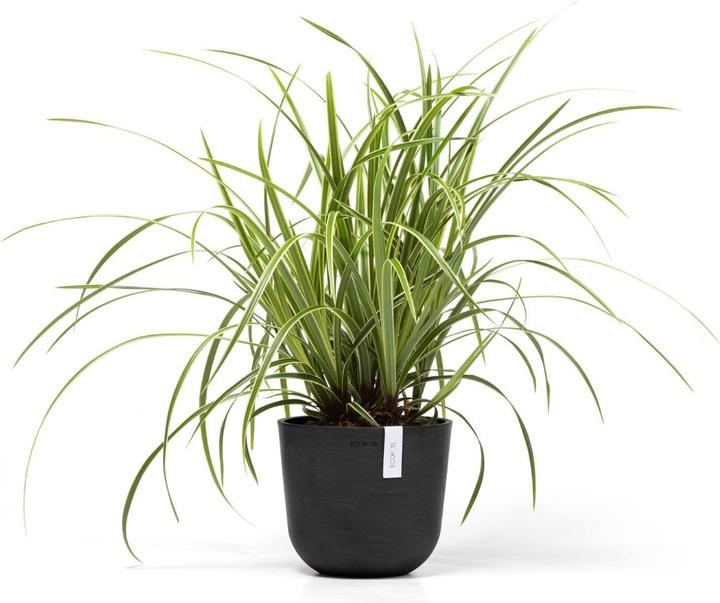 Immagine prodotto Ecopots Oslo Mini (19 cm)