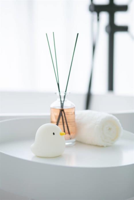 Immagine prodotto Hans Raum Anatra da bagno luminosa per bambini