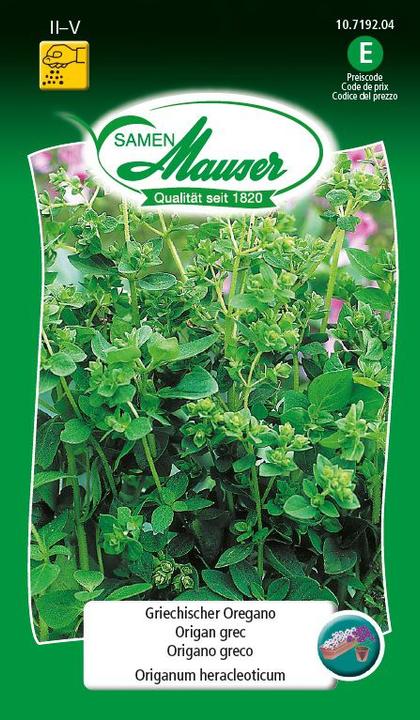 Actual product image Samen Mauser Greek oregano (Herb seeds)