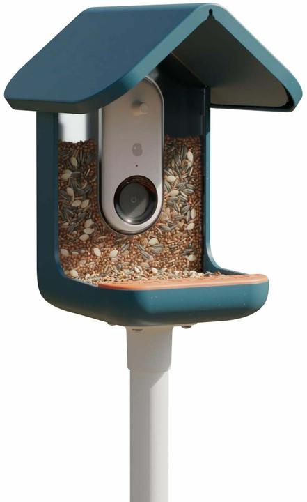 Image du produit Bird Buddy Distributeur de nourriture
