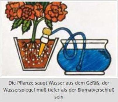 Produktbild Blumat Wasserspender (Tonkegel)