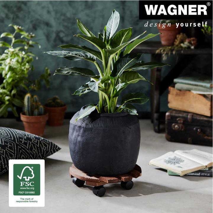 Actual product image Wagner System Country