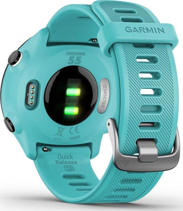 Image du produit Garmin Forerunner 55 (42 mm)