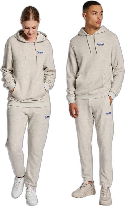 Actual product image hummel Lgc Austin Hoodie (XXL)