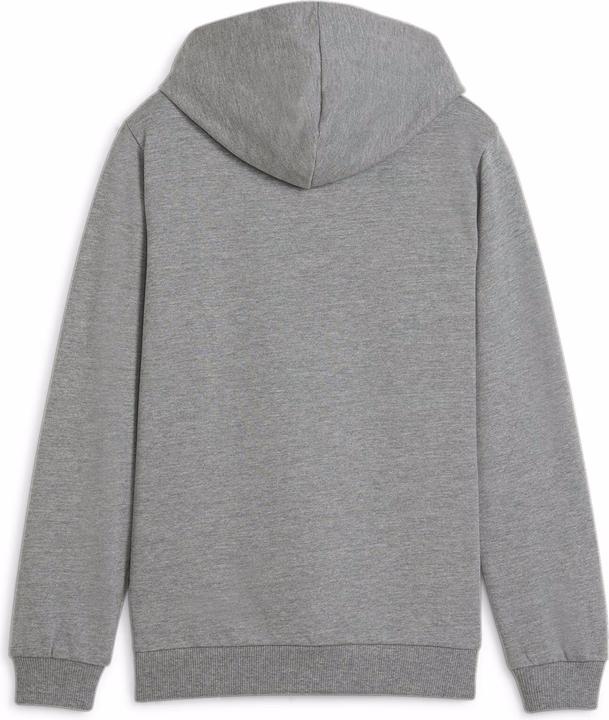 Image du produit Puma teamGOAL Casuals Hoody Jr (164)
