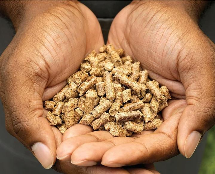 Image du produit Ninja Pellets Woodfire (0.90 kg)