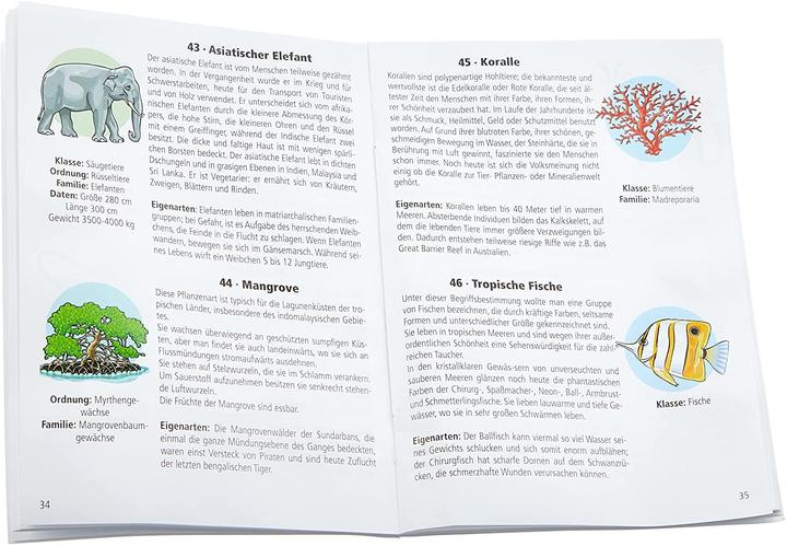 Produktbild Kinderglobus (25 cm)