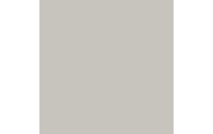Immagine prodotto Amsterdam Vernice acrilica Serie Standard (Titanbuff Scuro, 120 ml)