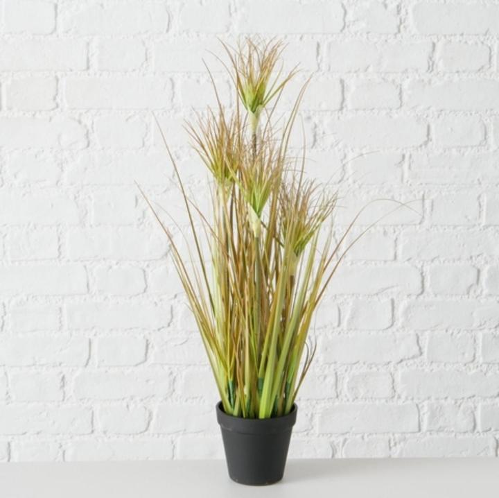 Actual product image Boltze Home Boltze potted onion grass 60 cm