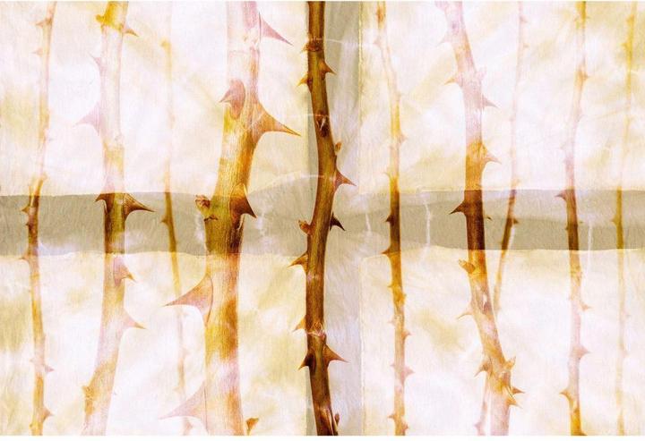 Image du produit Architects Paper Studio 47 Thorn Art Nature (400 x 270 cm)