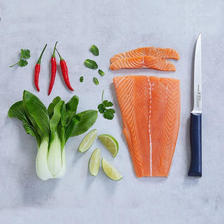 Actual product image Opinel Intempora II fillet knife, steel 12C27M, stainless, full tang blade, glass fibre reinforced (18 cm)