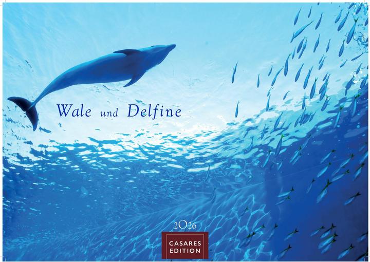 Image du produit Wale und Delfine 2026 L 35x50cm (35 x 50 cm, Allemand)