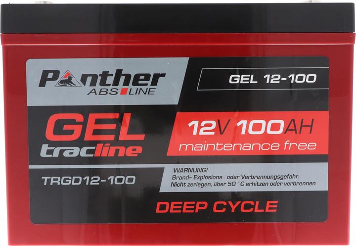 Actual product image Panther tracline Gel Tiefetlade Cycle 12V 100Ah Bleiakku AGM Blei Gel Akku (12 V, 100 Ah)