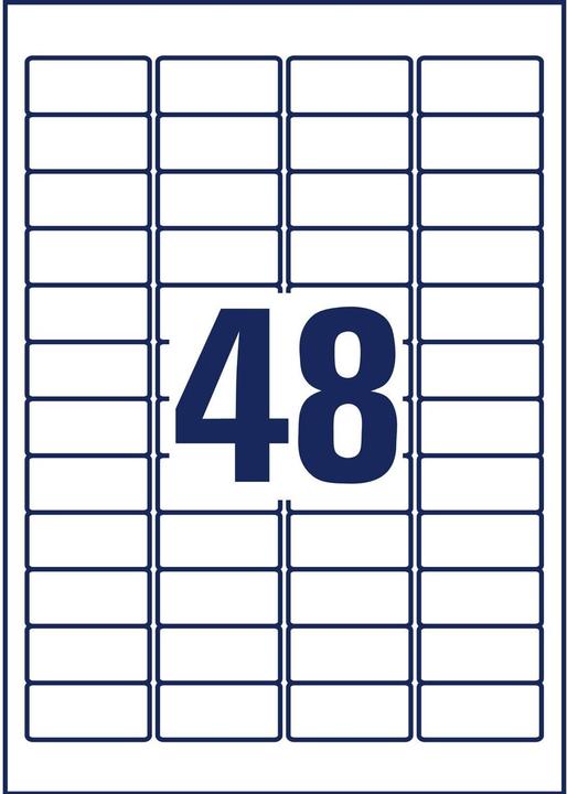 Actual product image Avery weatherproof labels