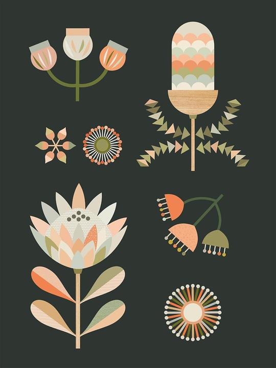 Produktbild Lyndy Hants Australische Eingeborene II Leinwanddruck (50 x 40 cm)