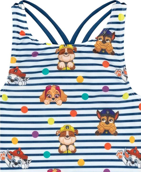 Actual product image Paw Patrol Girls Striped One Piece Swimsuit (104)
