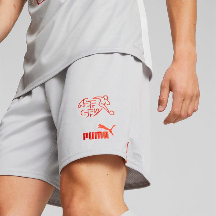 Actual product image Puma SFV Shorts Replica (XL)