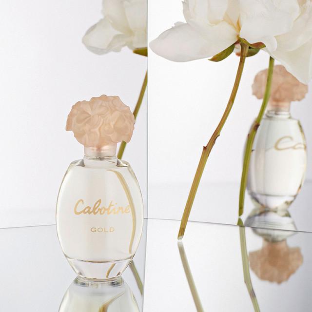 Image du produit Gres Or (Eau de toilette, 100 ml)